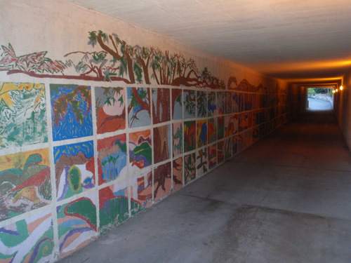 Murals painted in the pedestrian/bike tunnel.